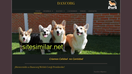 dancorg.com.mx alternative sites