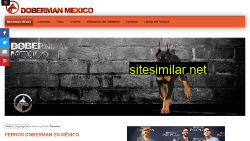 doberman.mx alternative sites