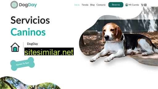 dogday.mx alternative sites