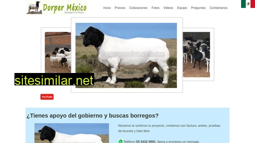 dorpermexico.com.mx alternative sites