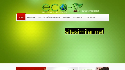 eco-v.com.mx alternative sites