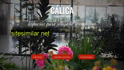 estanciascalica.com.mx alternative sites
