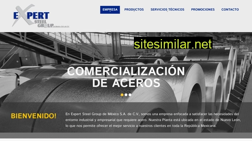 expertsteel.com.mx alternative sites