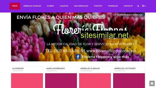 floreriafloppos.com.mx alternative sites