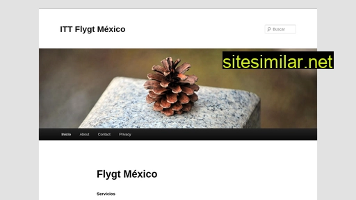 flygtmex.com.mx alternative sites