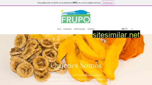 frupo.com.mx alternative sites