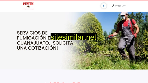 fumigacionesfumex.com.mx alternative sites