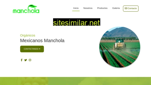 manchola.com.mx alternative sites