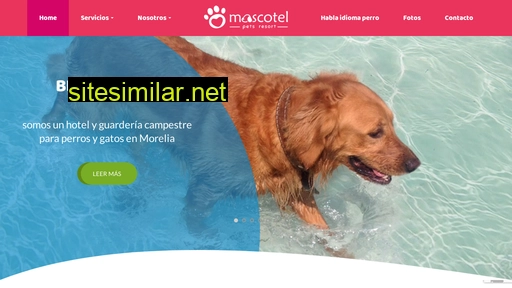 mascotel.com.mx alternative sites