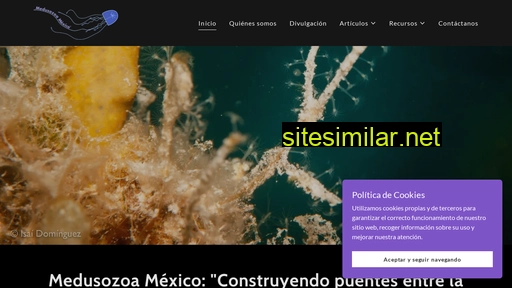 medusozoamexico.com.mx alternative sites