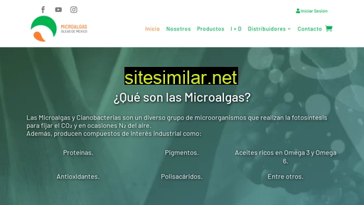 microalgasoleas.com.mx alternative sites
