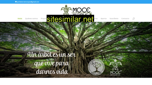 moceyaxcuxtal.org.mx alternative sites