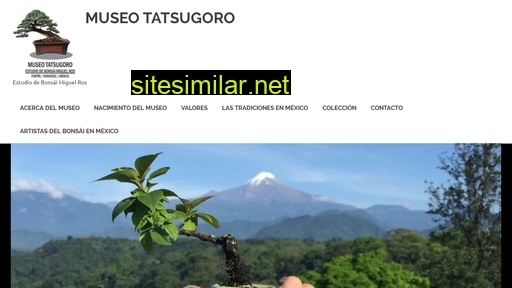 museotatsugoro.com.mx alternative sites