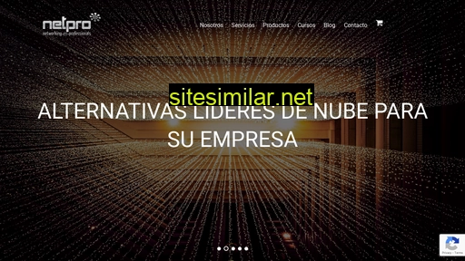 netpro.com.mx alternative sites