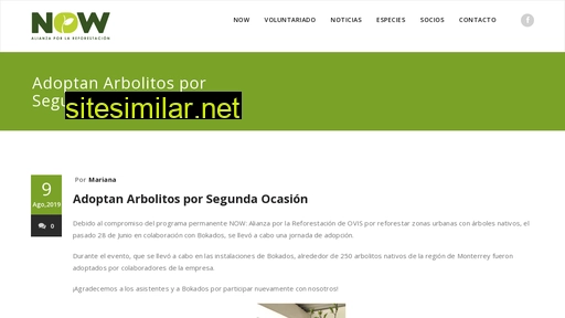 now.org.mx alternative sites