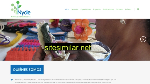 nyde.org.mx alternative sites