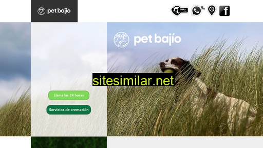 petbajio.com.mx alternative sites
