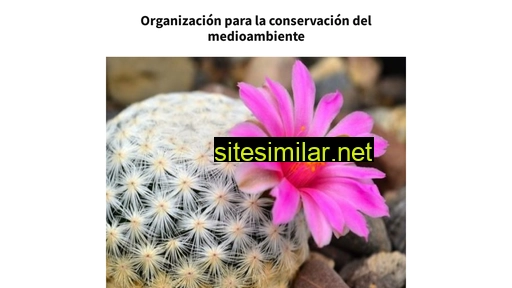 sanpabloetlaeco.org.mx alternative sites