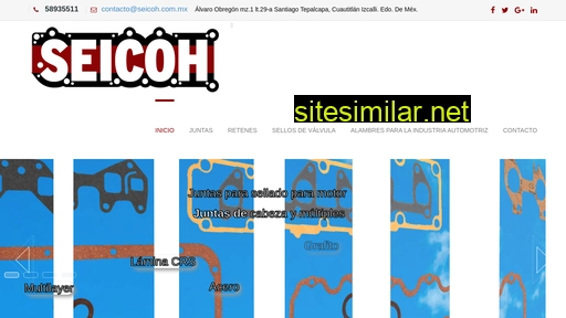 seicoh.com.mx alternative sites