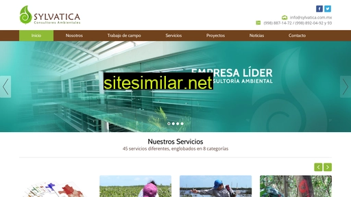 sylvatica.com.mx alternative sites
