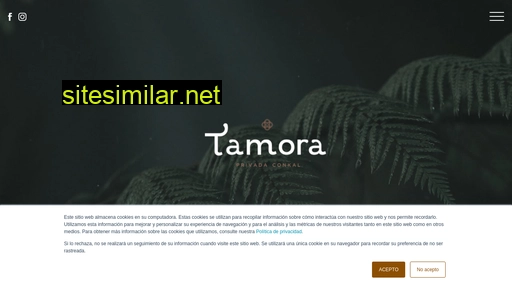 tamora.mx alternative sites