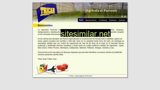 tricar.com.mx alternative sites