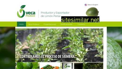 veca.com.mx alternative sites