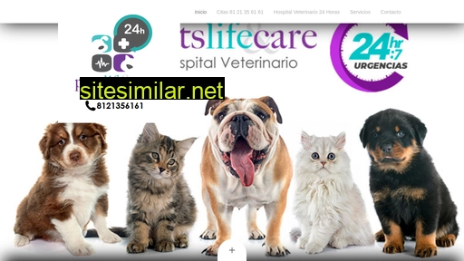 veterinariamonterrey.mx alternative sites