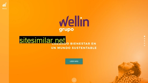 wellin.mx alternative sites
