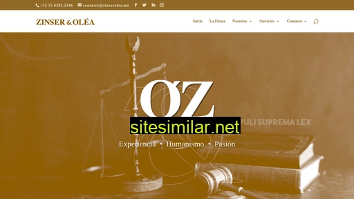 zinserolea.mx alternative sites