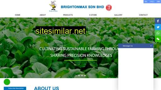 brightonmax.com.my alternative sites