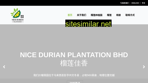 nicedurian.com.my alternative sites