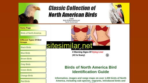 birds-of-north-america.net alternative sites