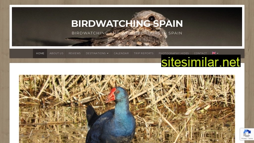 Birdwatchingspain similar sites