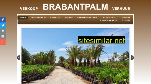 Brabantpalm similar sites