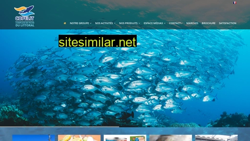 copelit.net alternative sites