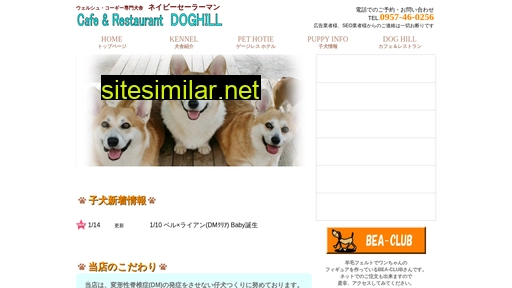 dog-hill.net alternative sites