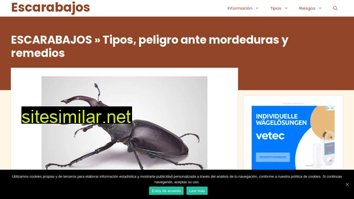Escarabajos similar sites
