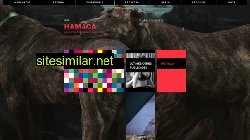 hamacaonline.net alternative sites