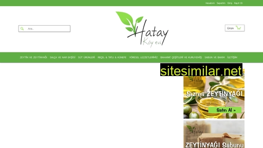 Hataykoyevi similar sites
