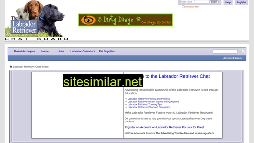 Lab-retriever similar sites