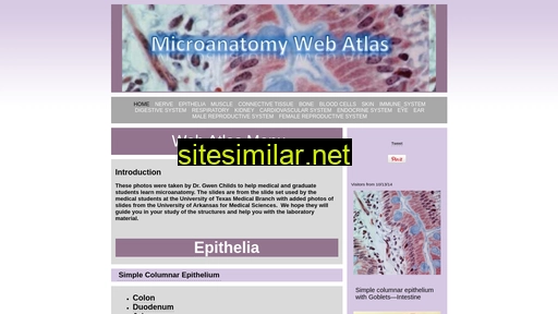 microanatomy.net alternative sites