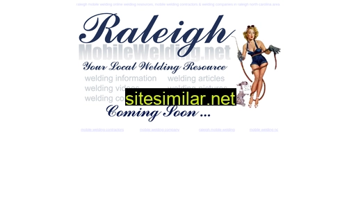 raleighmobilewelding.net alternative sites