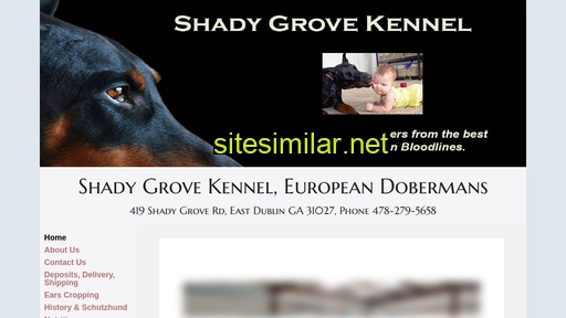 shadygrovekennel.net alternative sites
