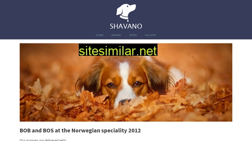 shavano.net alternative sites