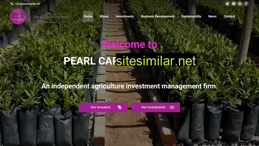 site.pearlcapital.net alternative sites