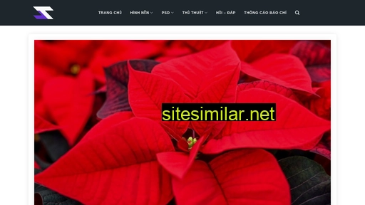 startuanit.net alternative sites