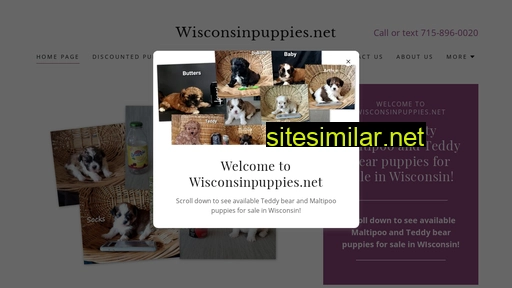 Wisconsinpuppies similar sites