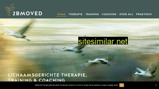 2bmovedtherapie.nl alternative sites