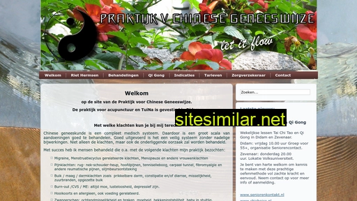 acupunctuurdidam.nl alternative sites